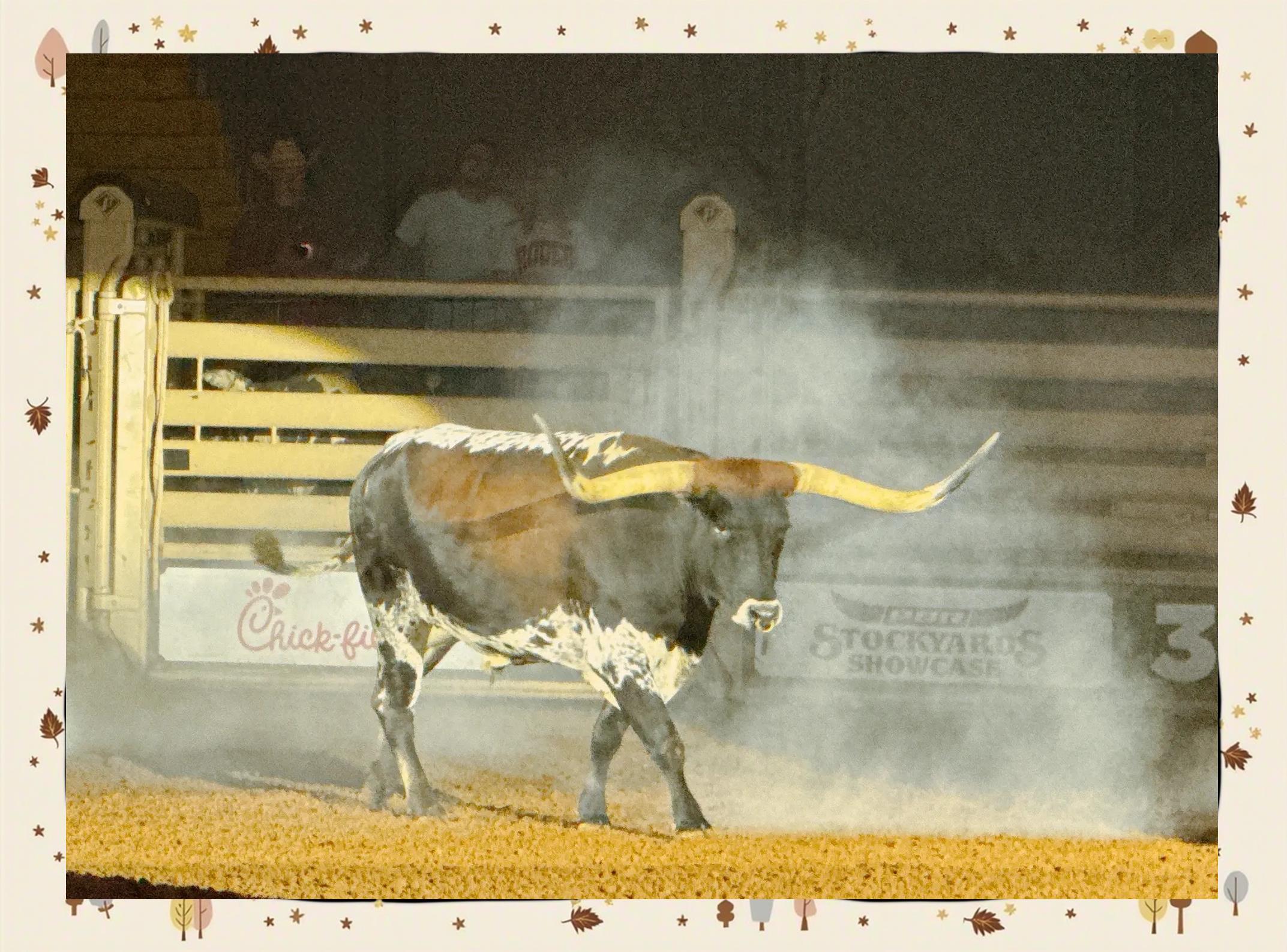 开云平台-最后时刻胜出首场状态出色，RNG观众沸腾！，德布劳内重返赛场热度持续攀升的简单介绍
