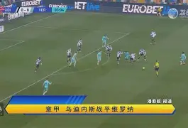 开云app-布莱顿钢丝绳